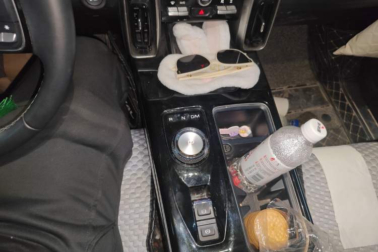 Used Haval DARGO 2021 2.0T DCT 4x4 Chinese Rural Dog Edition
