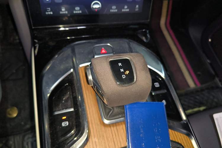 Used Hongqi E-HS9 2021 510 km Range Flagway Edition Six Seats Gear Lever