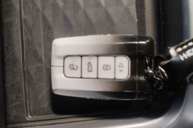 Used Tank 300 2021 Off-Road Edition 2.0T Conqueror