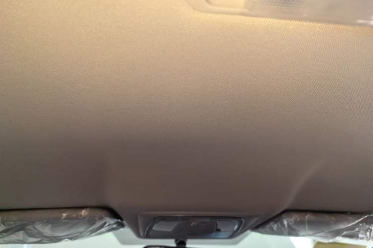 Used Venucia D60 2023 PLUS 1.6L XE CVT Trendy Edition Headliner