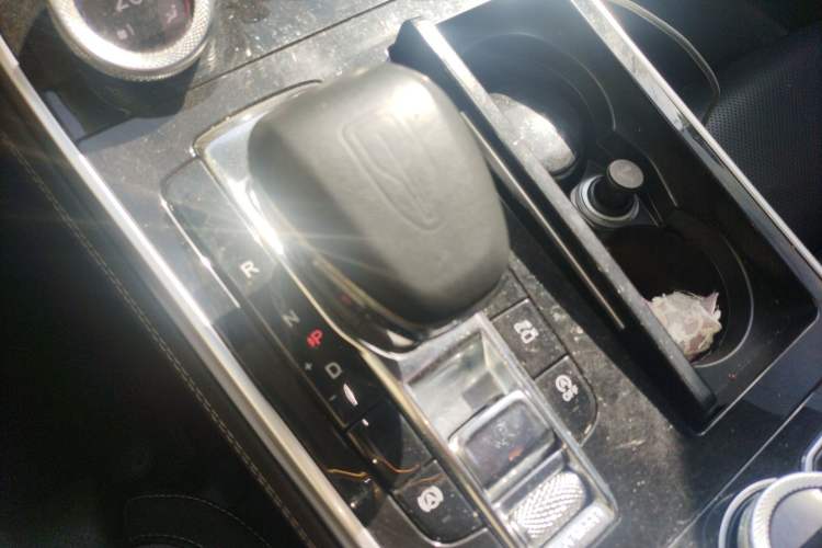 Used Hongqi H9 2020 2.0T Smart Connect Flagship Edition Gear Lever