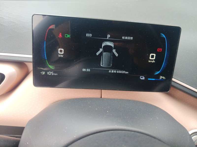 Used BYD Seagull 2023 Free Edition — 8