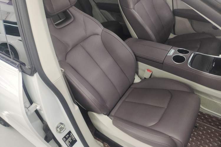 Used Leapmotor C11 2023 Pure Electric 500 Comfort Edition
