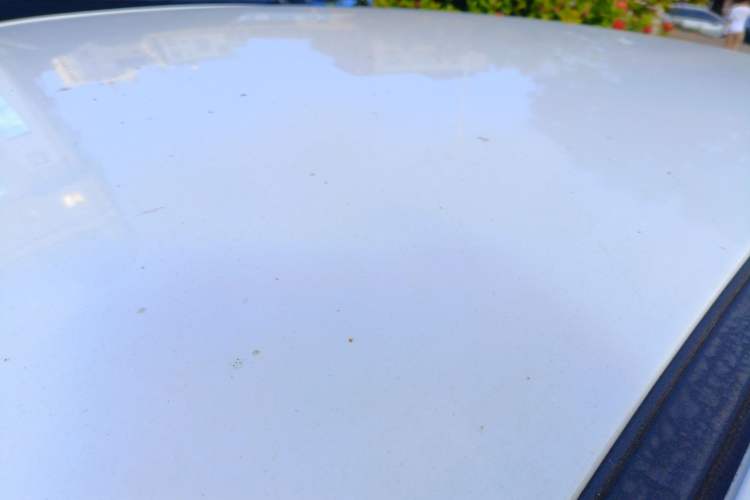 Used FORTHING S50 2021 Luxury Model