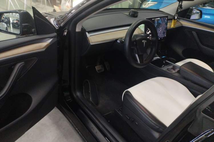 Used Tesla Model Y 2021 Standard Range Rear-Wheel Drive Version
