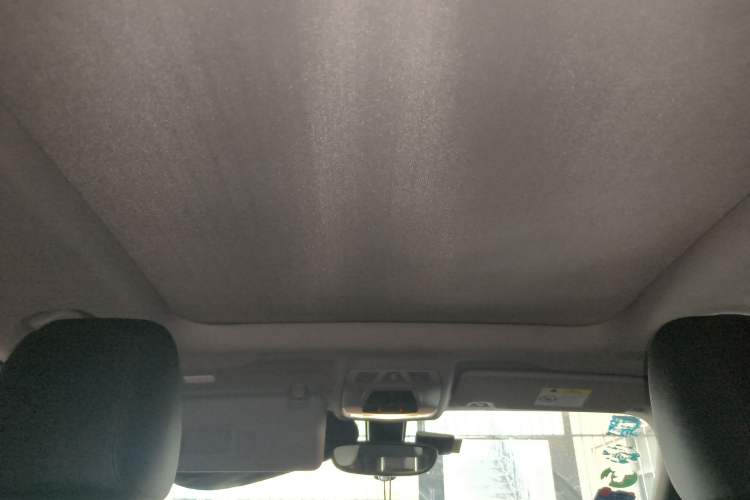 Used BMW X1 2018 sDrive20Li Leading Model Headliner