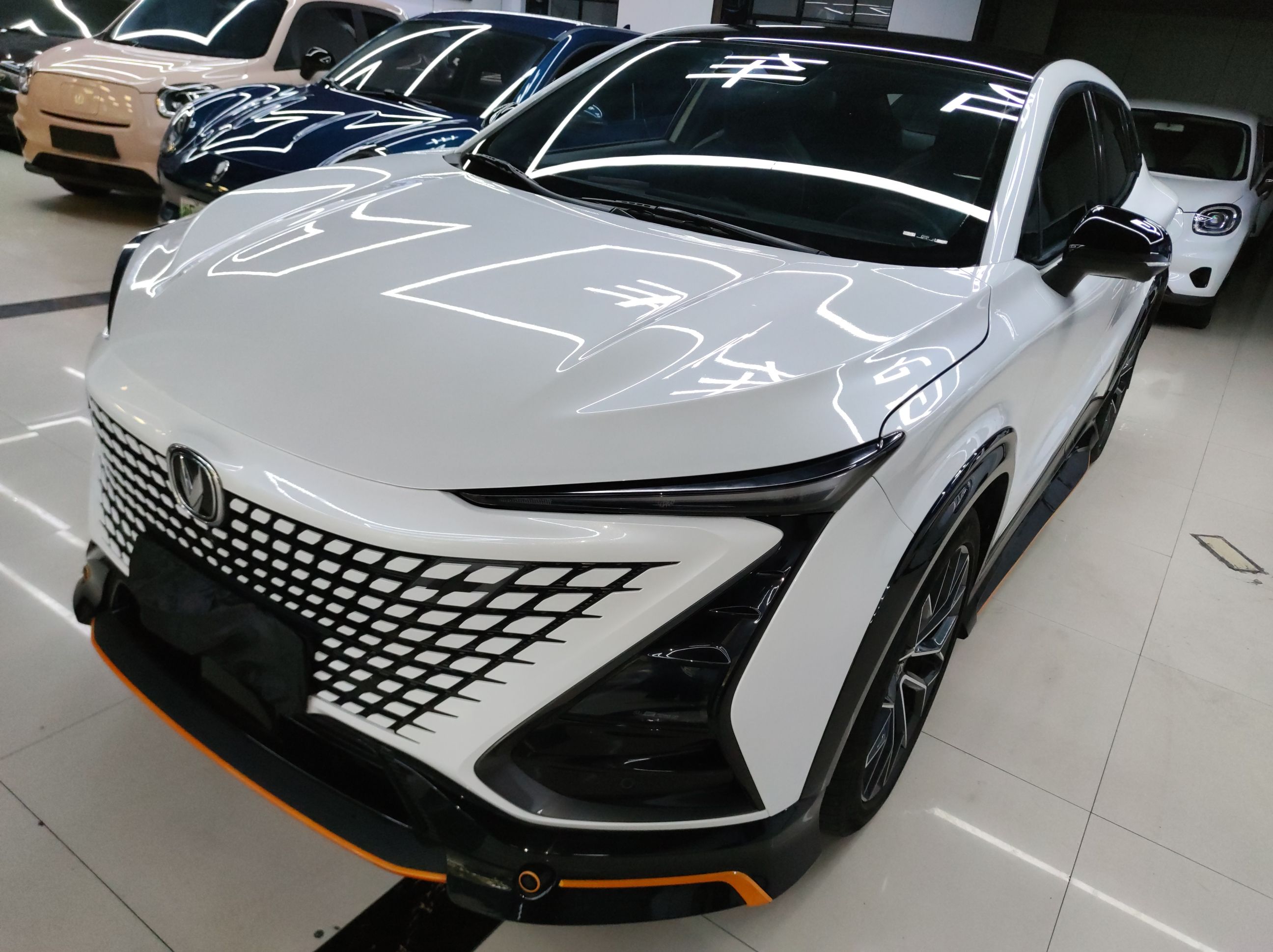 Parte inferior delantera