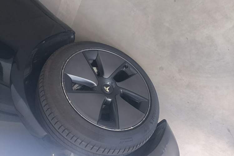 Used Tesla Model 3 2022 Rear-Wheel-Drive Version