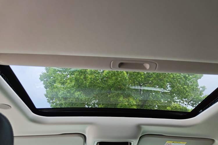 Used Tank 300 2021 City Edition 2.0T—Truly Stylish Headliner