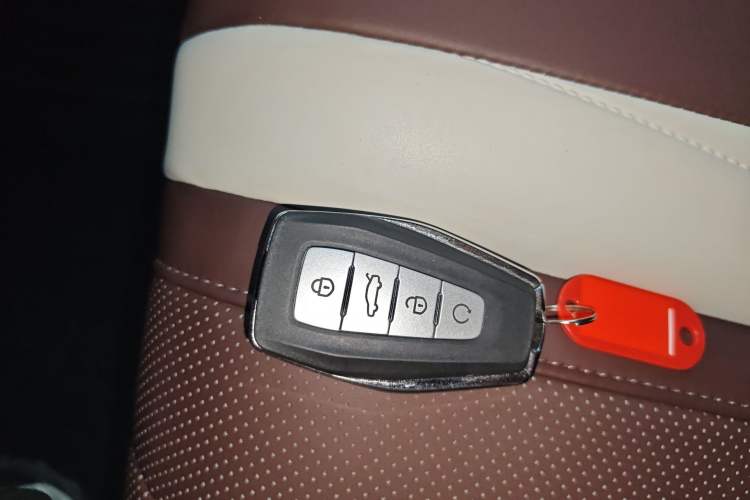 Used Geely Auto Monjaro L 2021 2.0TD DCT EVO Two-Wheel Drive Prestige Version