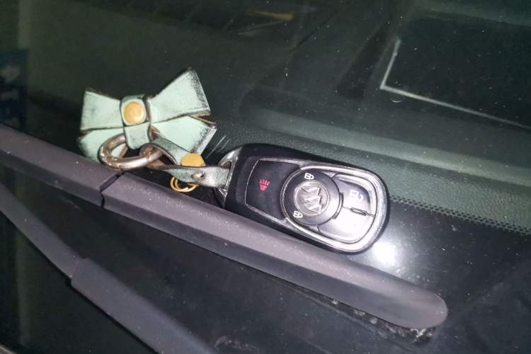 Used Buick Regal 2017 GS 28T Prestige Model