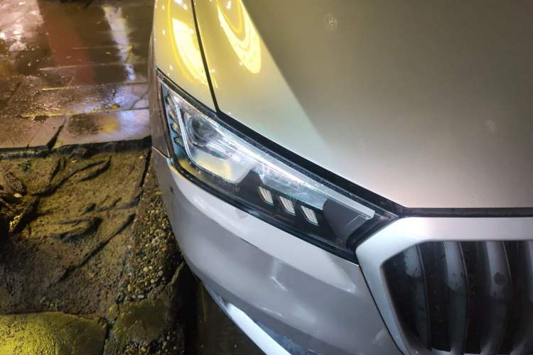 Used BORGWARD BX5 2017 20TGDI Automatic Two-Wheel Drive Pioneer Edition
