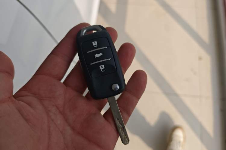 Used Qiyuan Lumin 2025 205 km Xiangqin Version