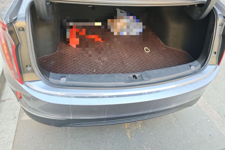 Used Hongqi E-QM5 2024 610 km PLUS Trunk