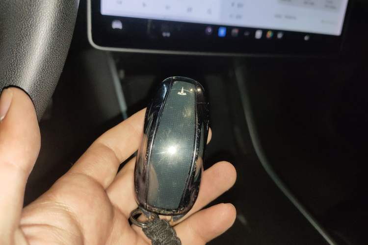 Used Tesla Model 3 2020 Standard Range Rear-Wheel Drive Upgraded Version