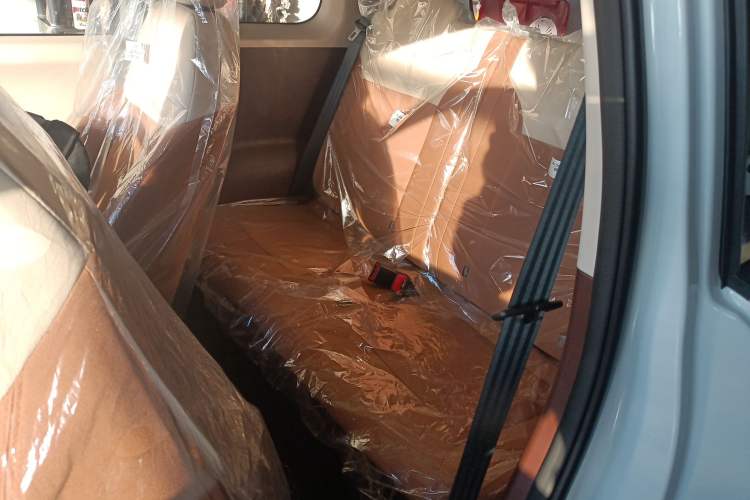 Used Qiyuan Lumin 2026 Model Treasure Edition 205km Passionate Beige Ningde