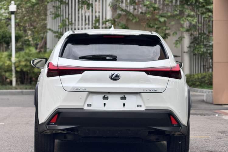Used Lexus UX New Energy 2020 300e Pure·Enjoy Edition Rear