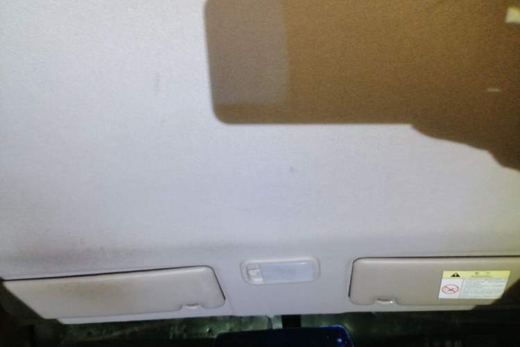 Used FORTHING Lingzhi 2021 M5L 2.0L Utility Model