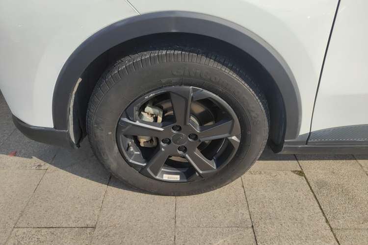 Used Geometry E Firefly 2023 401KM Linglong Tiger 5-Seater
