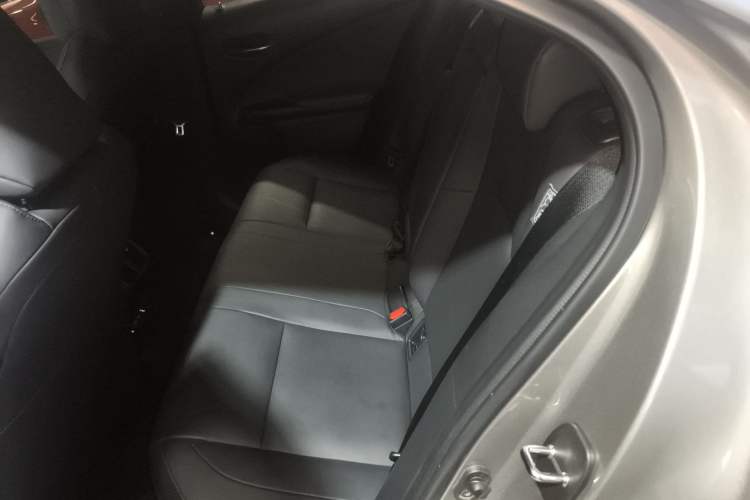 Used Lexus UX New Energy 2020 300e Pure·Joy Edition
