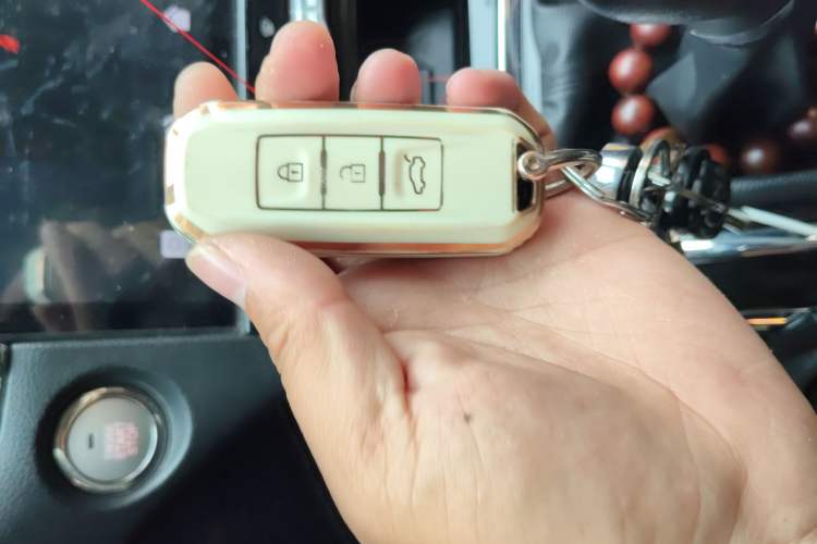 Used SWM G05 2019 2.0L Manual Luxury Edition