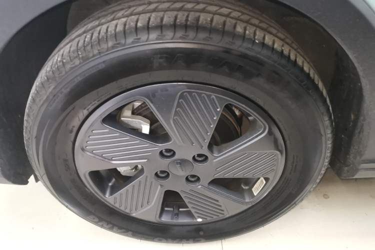 Used Geometry E Firefly 2022 401KM Lightning Tiger 4-Seater
