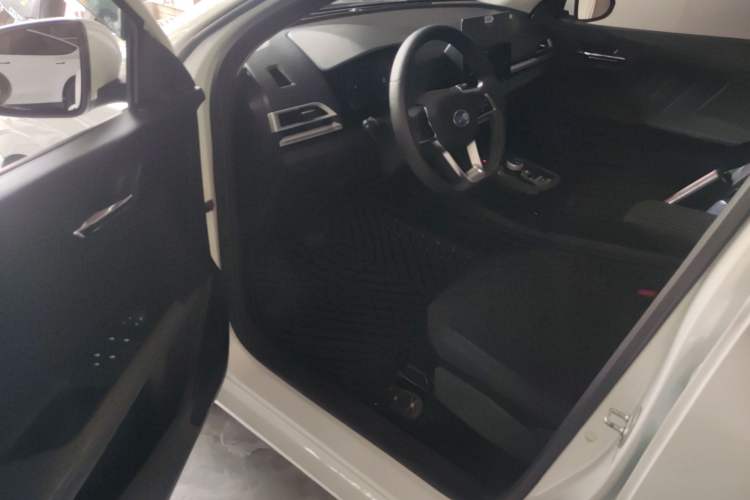 Used BYD e2 2021 Standard Model Driver Seat