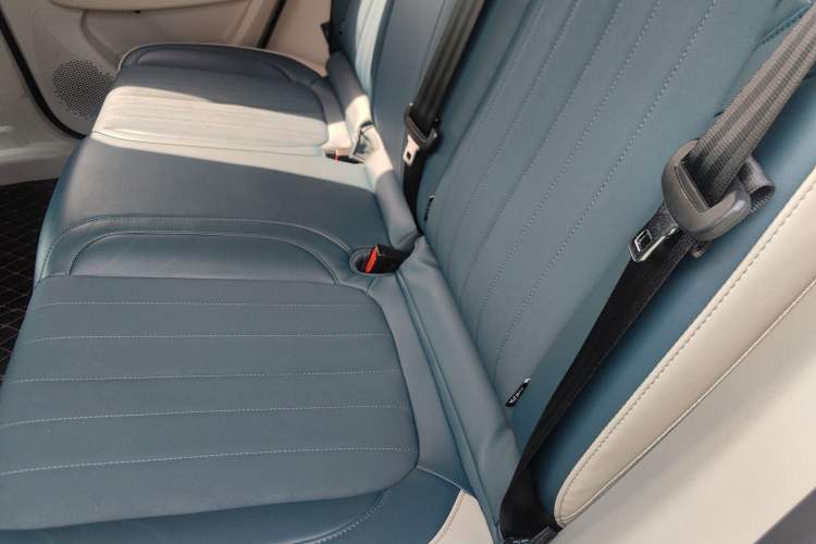 Used ORA Good Cat 2022 Morandi Edition 400km Standard Range Luxury Version Lithium Iron Phosphate
