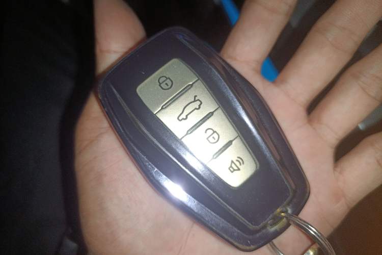 Used Geometry C 2020 Selected Range Edition 550 KM C++ Pro