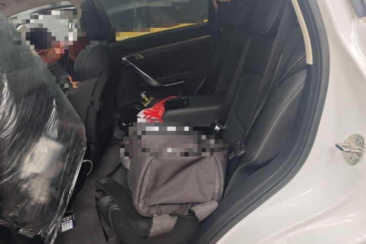 Used Geely Auto Emgrand X7 Sport 2020 1.8TD DCT Smart PRO Left Rear Seat