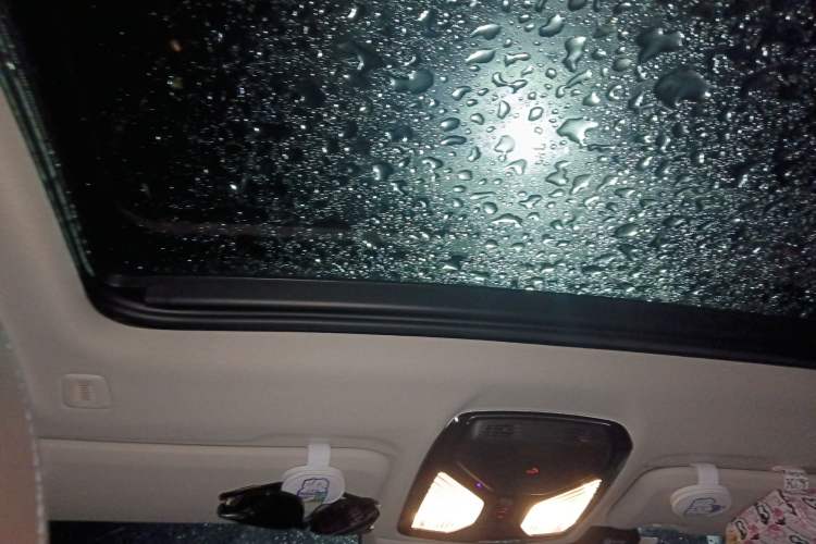 Used BMW X3 2021 xDrive28i Luxury Package Headliner