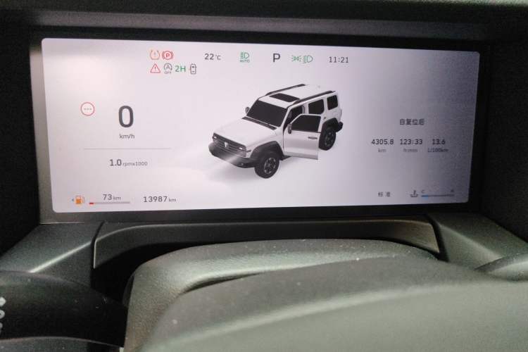 Used Tank 300 2025 2.0T Conqueror Odometer Close Up