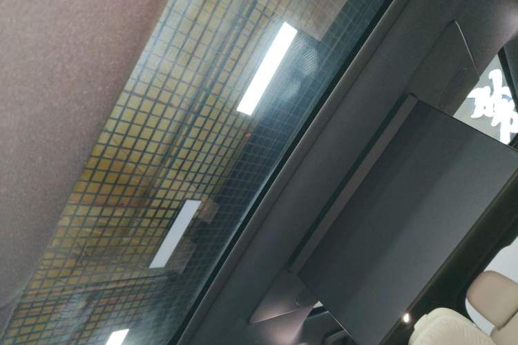 Used Li Auto L9 2022 Max model Headliner