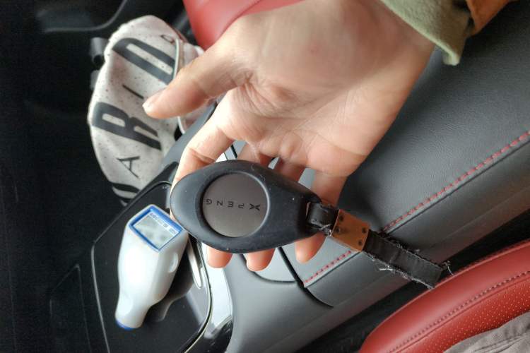 Used XPeng P7 2020 670E