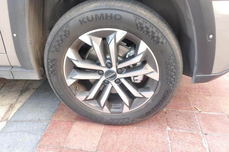 Used Haval H Dog 2023 2.0T Two-Wheel Drive Trendy Outdoor Edition