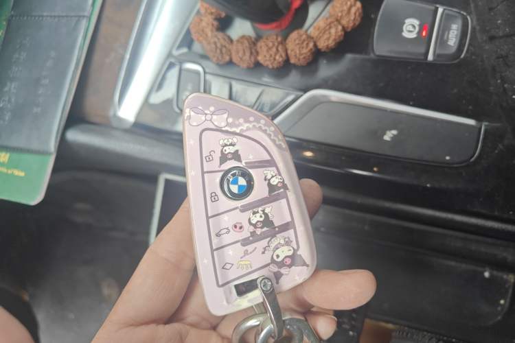 Used BMW 5 Series 2018 528Li Launch Special Edition
