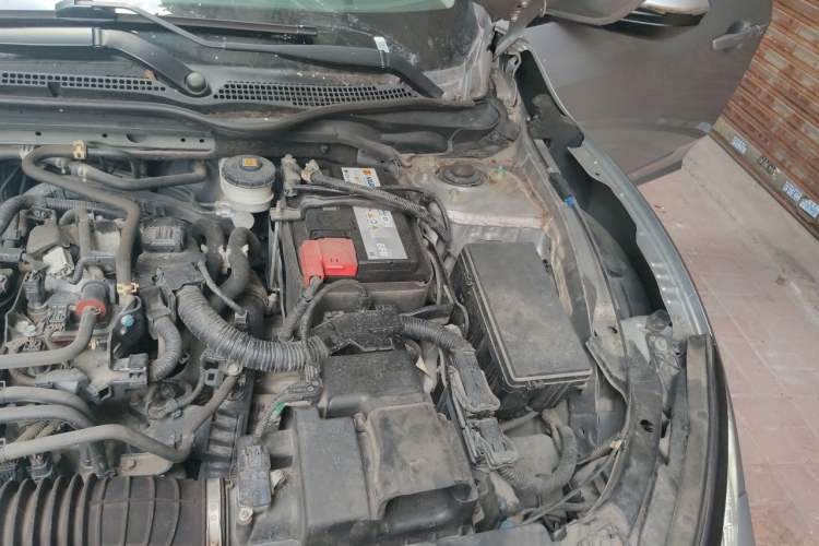 Used Honda Civic 2019 220TURBO CVT Dynamic Edition China VI