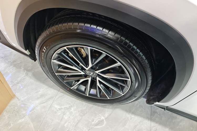 Used Lexus NX 2024 350h Front-Drive Xinchu Version