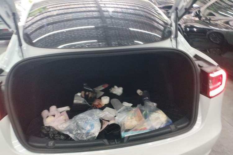 Used Tesla Model 3 2019 Standard Range Rear-Drive Upgraded Version Trunk