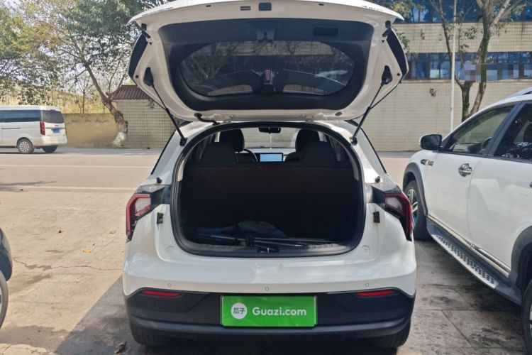 Used Geometry E Firefly 2022 401 km Linglong Tiger 4 Seats
