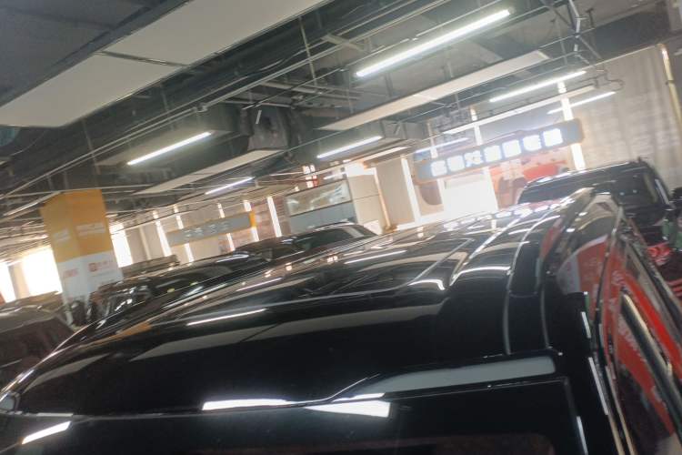 Used Tank 700 New Energy 2024 Hi4-T Extreme Edition Roof