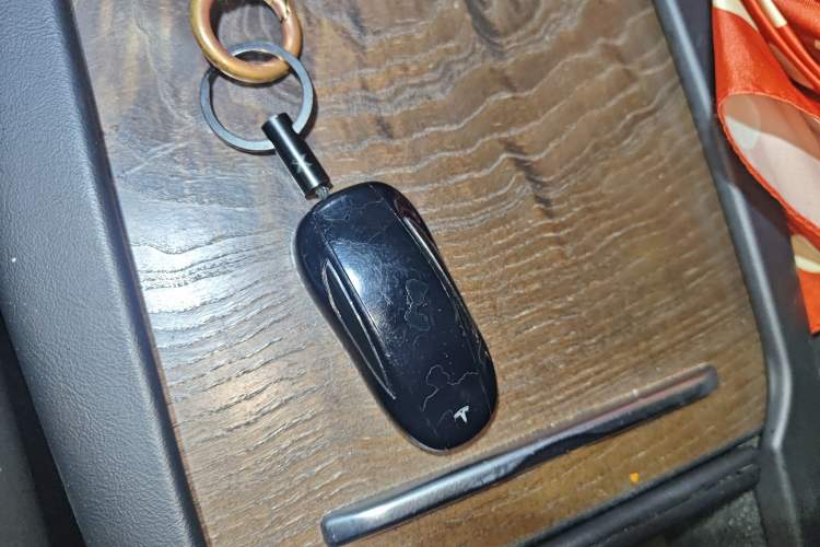 Used Tesla Model X 2017 X 100D Long Range Edition
