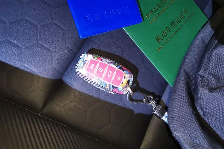 Used Haval H6S 2022 2.0T Two-Wheel Drive ZhiRun Version Vehicle Key