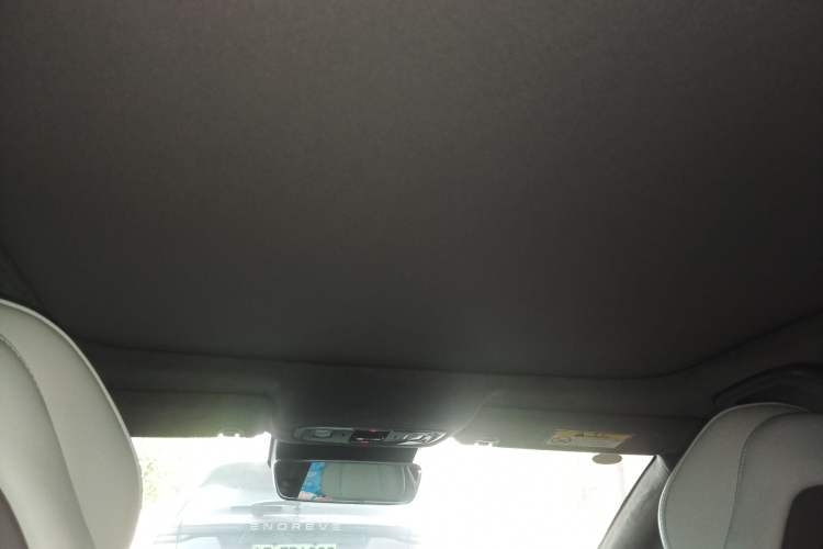 Used Leapmotor C01 2022 Four-Wheel Drive Dual-Motor Performance Version Headliner