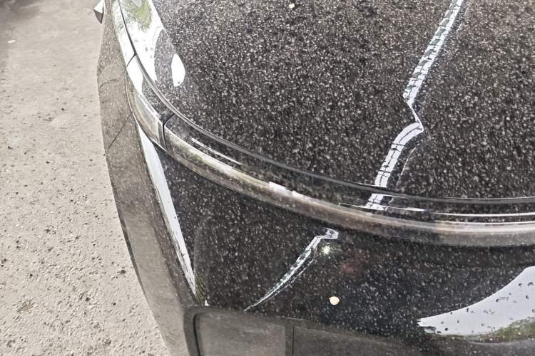 Used Li Auto L8 2024 Max