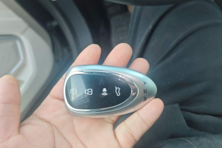 Used Wey Mocha New Energy 2023 Two-Wheel Drive Long-Range Version