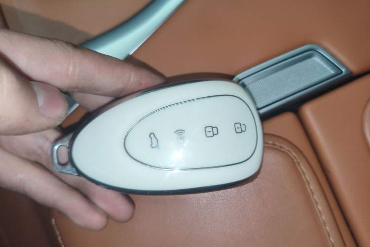 Used Wey Lanshan 2023 Four-Wheel Drive Ultra-Long Range Version