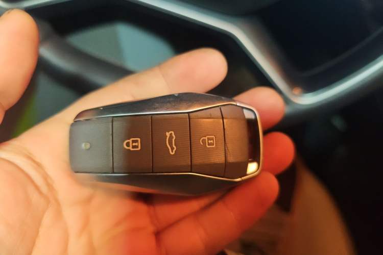 Used SOL E10X 2022 Flower Fairy Design Four-Leaf Clover