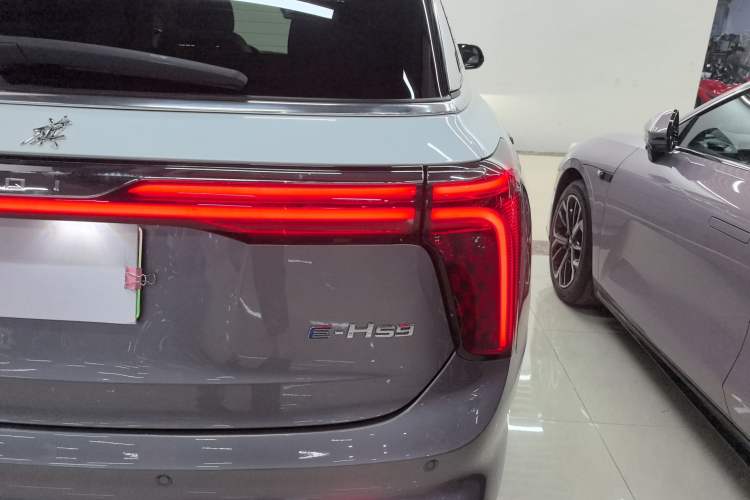 Used Hongqi E-HS9 2021 510 km Flagship Edition Four Seats