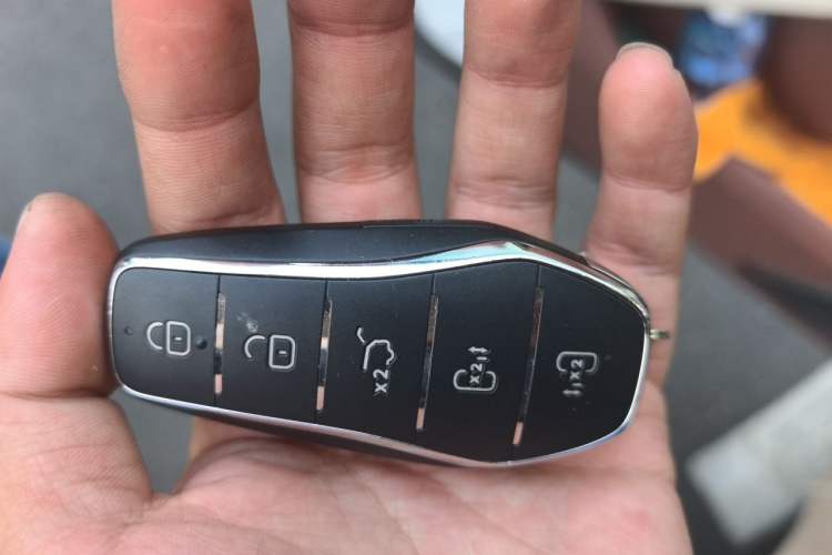 Used BYD Xia 2025 DM-i 1.5T 100km Supreme Edition
